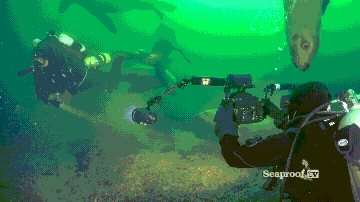 d2ae3b90b01c879edbd3ab3bbce25f42_1490741230_2802.gif d2ae3b90b01c879edbd3ab3bbce25f42_1490741230_2802.gif